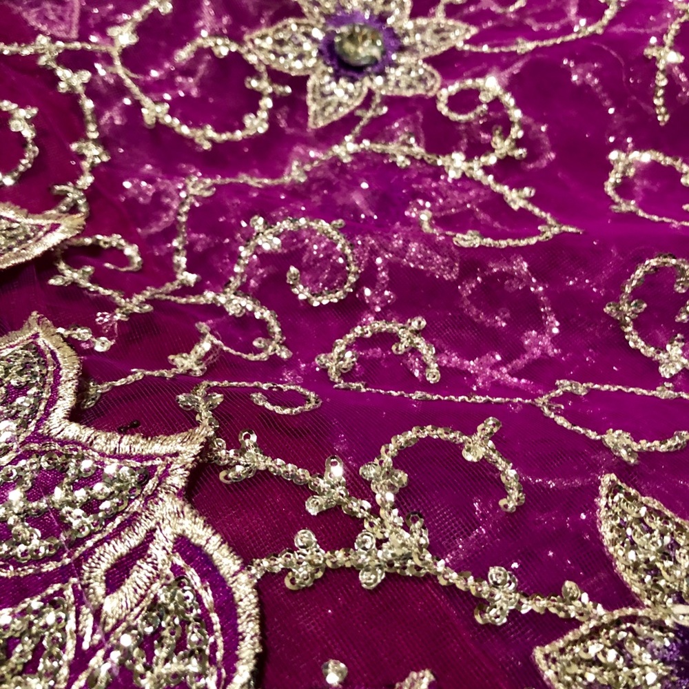 Pakistani/indian saree